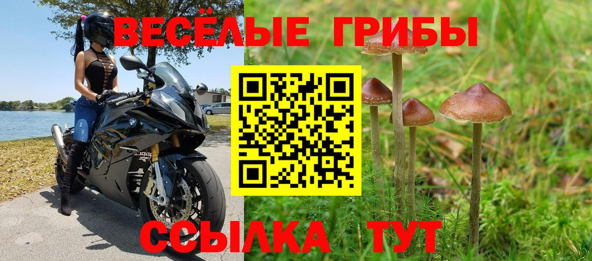 Галлюциногенные грибы мухоморы  Вход с VPN  Южно-Сахалинск 