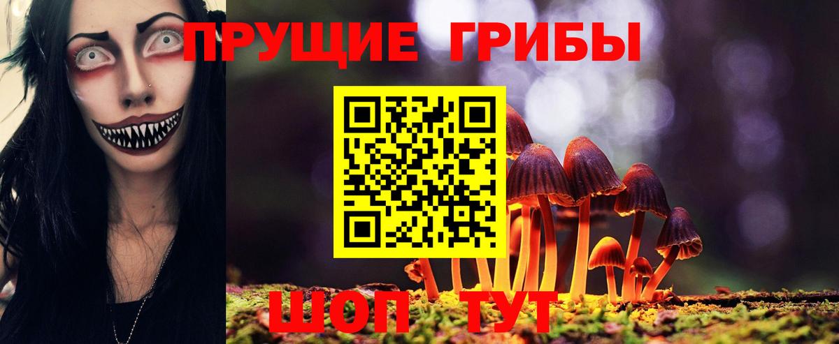Галлюциногенные грибы мицелий Южно-Сахалинск