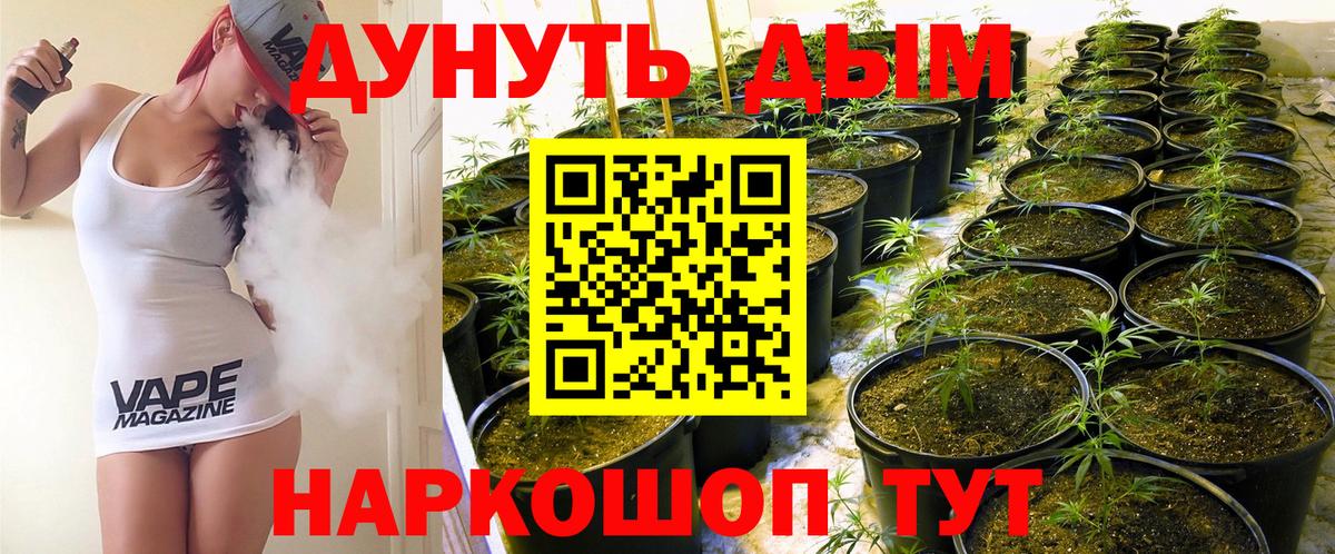 Бошки Шишки Ganja  Вход с VPN  Южно-Сахалинск  Канабис THC 21% 